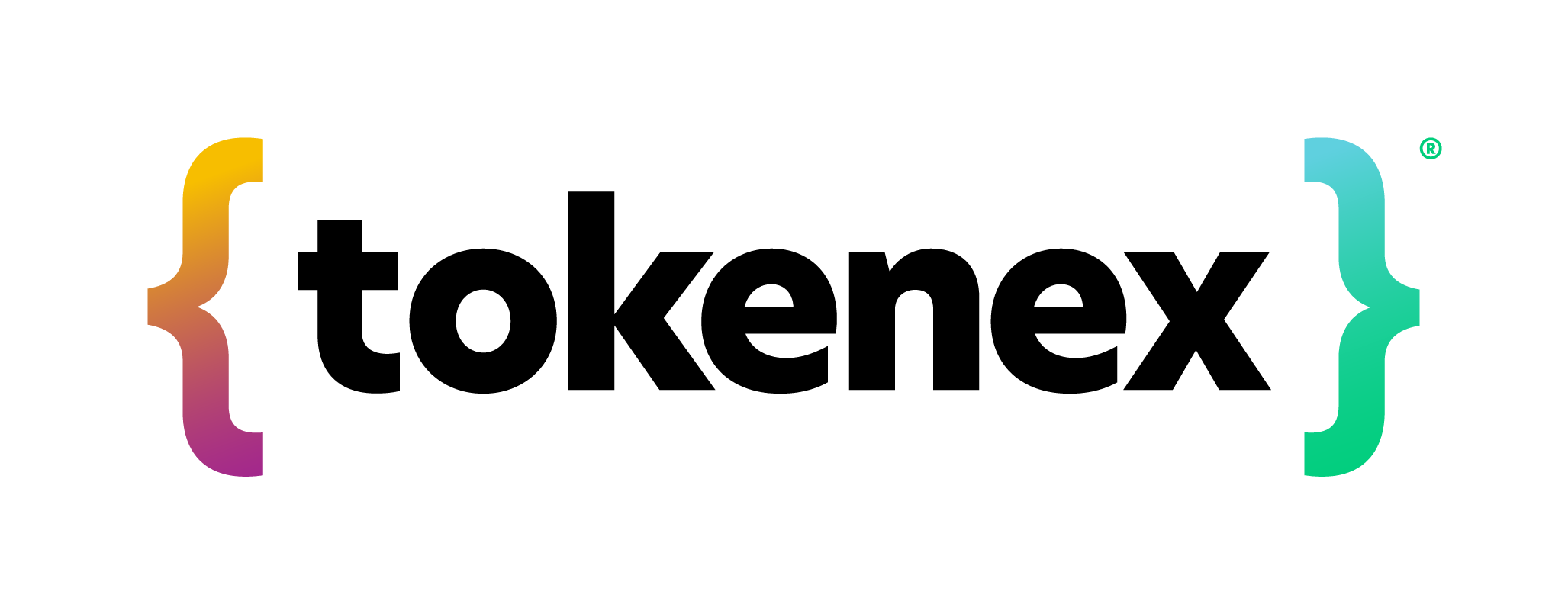 TokenEx, Inc. Logo