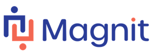Magnit VMS  Logo